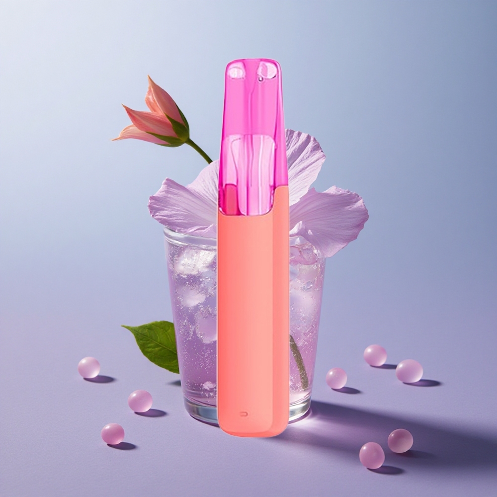 Snowplus Dash 4000 Hibiscus IJsthee met Keramiek
